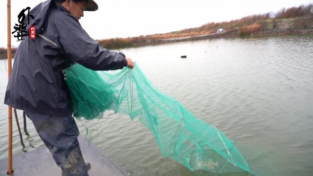 吃虾虎有什么好处，虾虎的营养价值和功效（鲁迅小说里提到的\