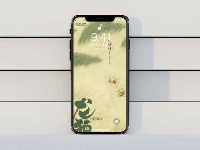 宫崎骏龙猫全部形态，宫崎骏作品之龙猫