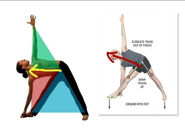 三角式瑜伽动作口令图片