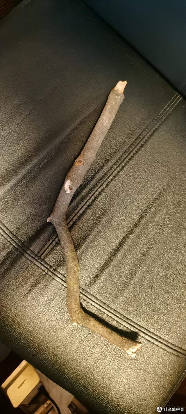 乌木手串怎么辨别真假，乌木手串真假鉴别（万物皆可盘：万字长文）