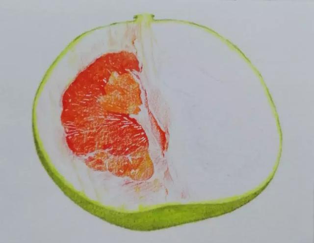 简笔画柚子怎么画，简笔画柚子怎么画好看（绘画~彩铅丨香甜可口的柚子）