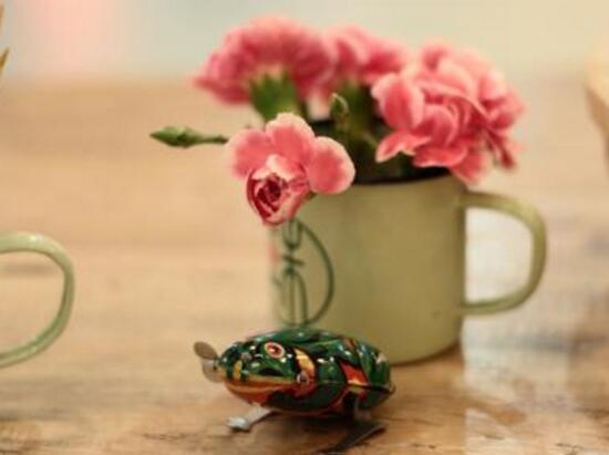 康乃馨怎么养，康乃馨怎么养开花（康乃馨的养殖方法和注意事项）