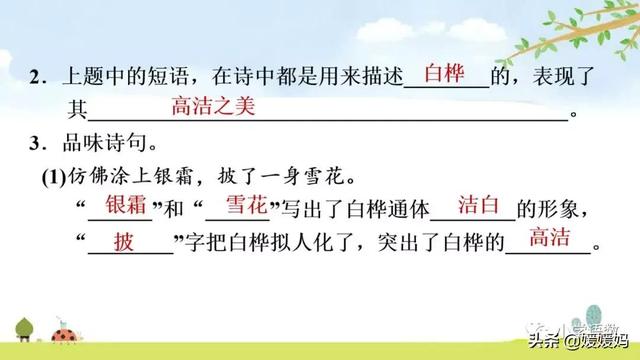 悠扬的近义词，“悠扬”的近义词是什么（四年级下册语文第11课《白桦》图文详解及同步练习）