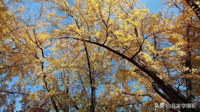 如何选择uv镜，怎么选择uv镜（CPL偏光镜、ND减光镜、UV镜如何选）