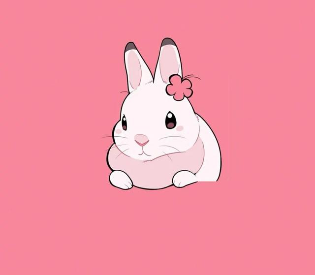 小兔子卡通图片，可爱小兔子头像/可可爱爱兔子鸭。（微信头像，萌萌的兔子头像）