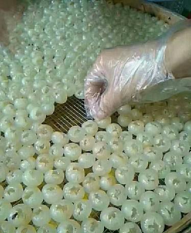 桂圆怎么存放，桂圆怎么存放时间久一点（教你2种好方法）