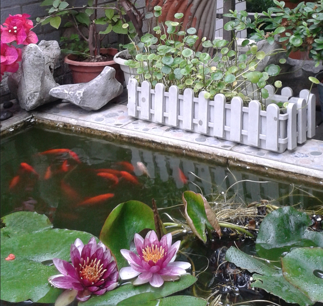 庭院鱼池风水讲究与禁忌，庭院做鱼池也是有讲究的