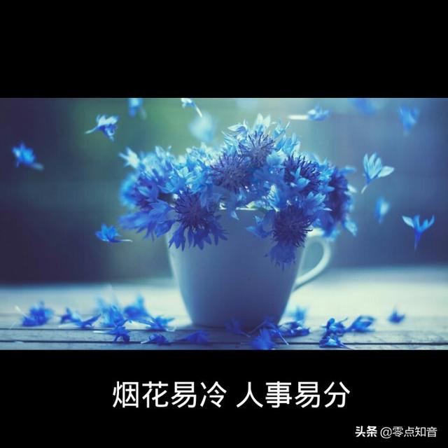 周杰伦烟花易冷，烟花易冷为什么被禁（周杰伦《烟花易冷》有多美）