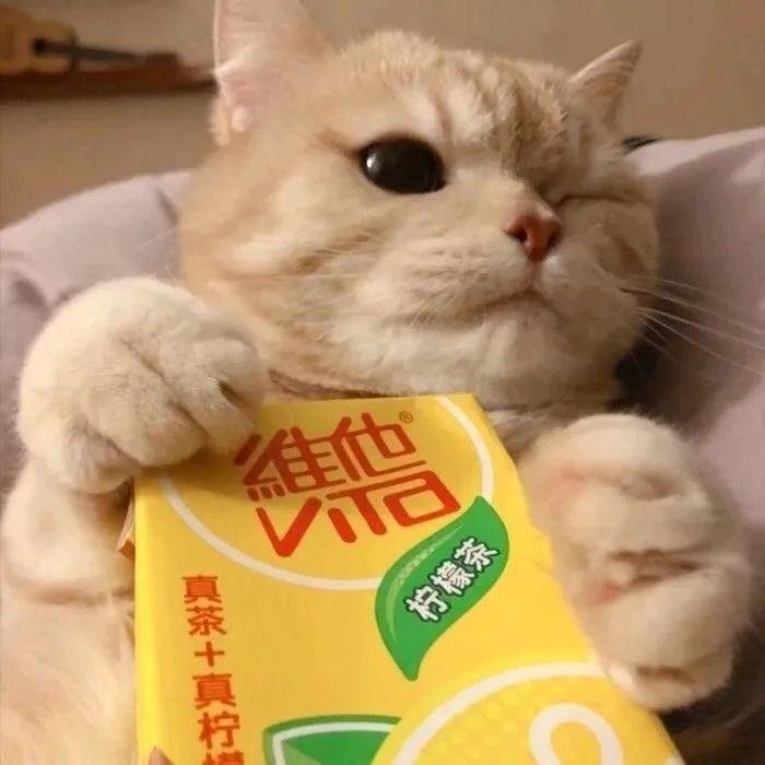 沙雕的群名(四人群聊名称逗比)