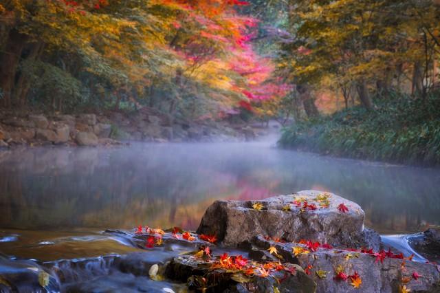 杭州必去的景点，杭州旅游必去景点推荐（杭州旅游十大必去打卡景点）