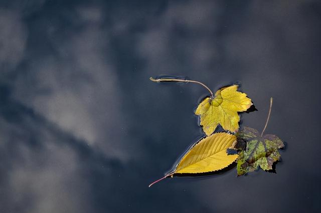 人生该放下的时候一定要放下，人生最应该放下的是什么（致自己：该放下的就放下）