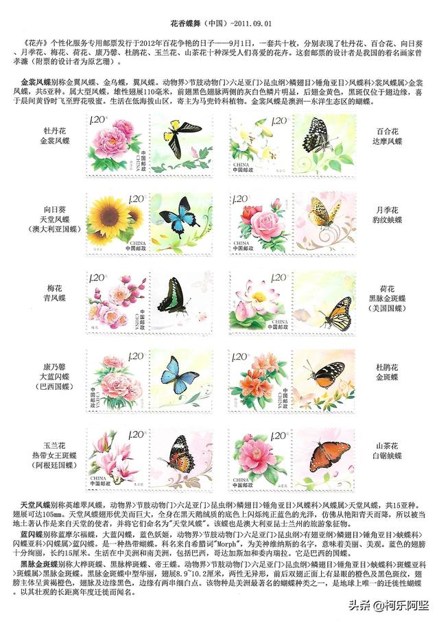 蝴蝶和蛾子的区别，蝴蝶和飞蛾有什么区别（鳞翅目昆虫-蝴蝶与蛾）