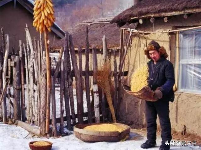 带康字的励志成语，带康字的成语100个（今天我们却写成“糠萝卜”）