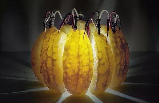 怎样制作土豆发电，自制土豆发电（淘宝“最强野生大脑”）