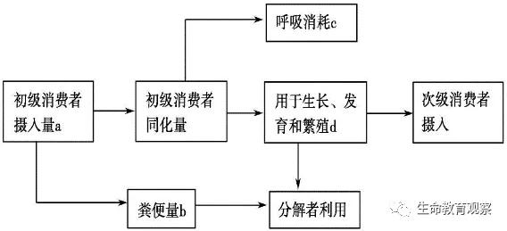 内环境的组成成分，内环境的组成成分含义（高三一轮复习必修三细节梳理和重点题型）