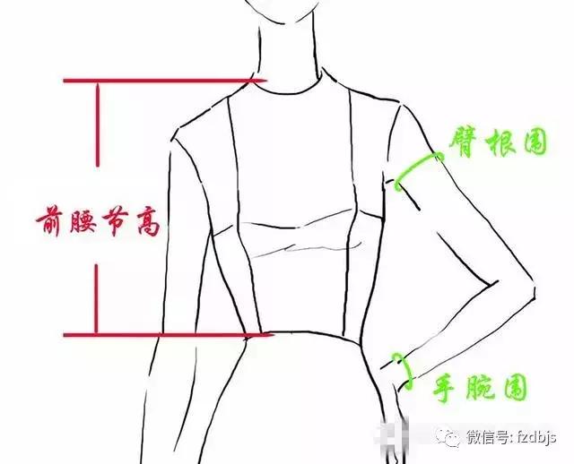 怎么测胸围，怎么测胸围是A还是B（零基础学学会如何量体 裁衣）