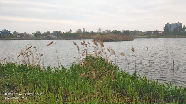 磁县旅游景点大全，磁县网红景点（磁县周边景点）