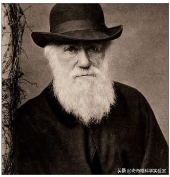 有史以来最伟大的科学家201220192630，人类近代史最伟大的科学家（世界上最伟大的科学家都长什么样）