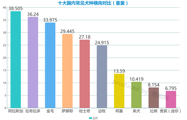 常见犬类品种大全，犬分类品种大全（国内十大流行犬种横向对比）