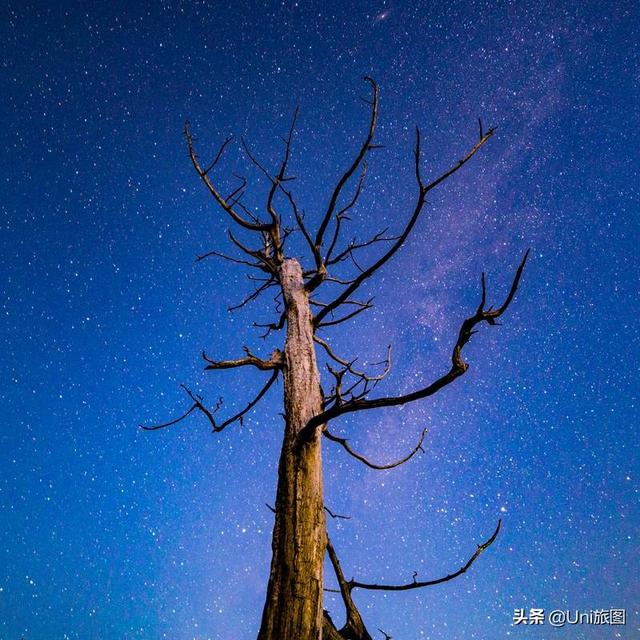 星空梦幻闺蜜头像，银河唯美星空闺蜜头像微信（20张唯美的星空摄影作品）