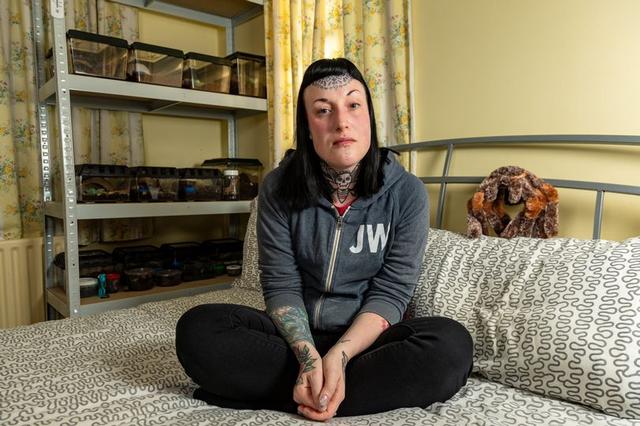 蜘蛛会攻击睡觉的人吗，家里有大蜘蛛怎么驱赶（竟在卧室内放35只毒蜘蛛治心病）