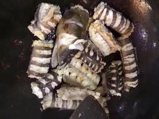 土龙不是龙,看起来想蛇,也不是蛇,它的学名叫波露豆齿蛇鳗土龙土龙