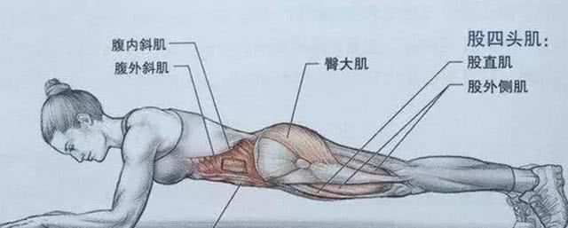 平板支撑一次多长时间，男生平板支撑一次多长时间（平板支撑——每次坚持多久才算合格）