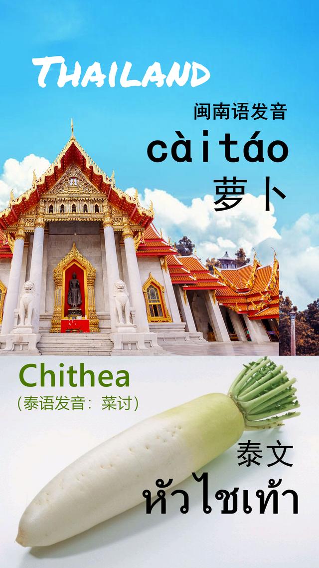 鲍鱼是什么意思网络语，女孩子鲍鱼是什么梗（闽南语里的“番仔话”）