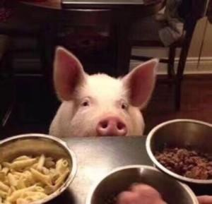 侧脸杀女头~，微信头像，侧脸杀女头~（搞怪头像单人女头）