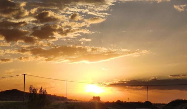 长篇小说连载《飞狼》第一部，飞狼全集下载百度云