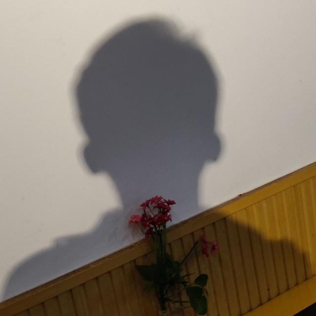 林知晚  个性超帅气男头，微信头像，林知晚  个性超帅气男头（超多个性、帅气男生头像任你选）