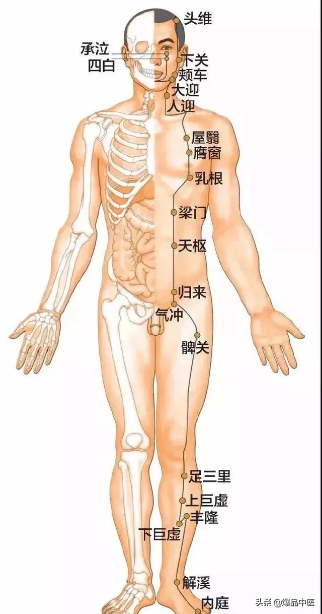 归来穴位置最简单的取穴方法，足阳明胃经45个针灸穴位图