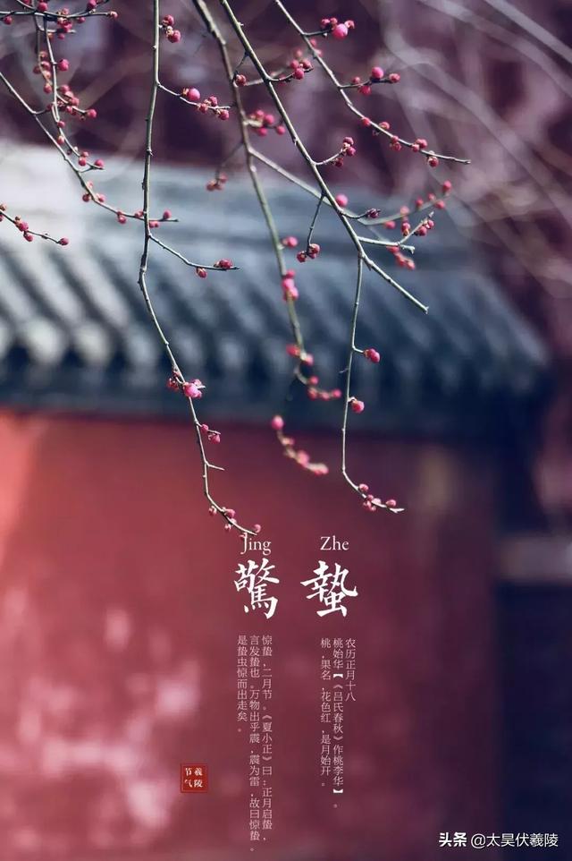  惊蛰节气介绍，二十四节气丨惊蛰 