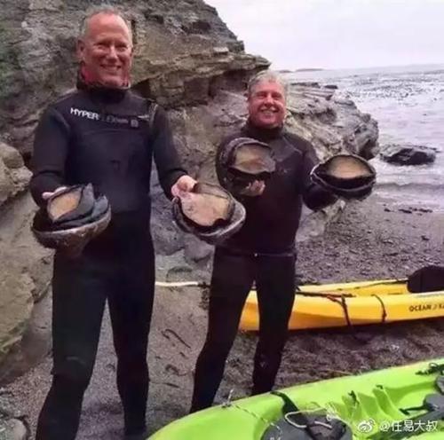 鲍鱼是什么动物，鲍鱼是什么内涵（为何大妈依旧爱理不理）