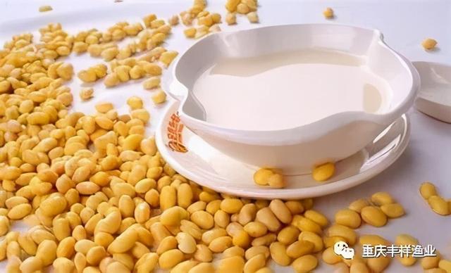 小鱼苗怎么做好吃，干小鱼怎么做好吃又简单（鱼苗绿色食物---熟蛋黄水、生豆浆饲喂养鱼法）