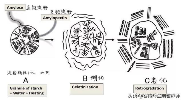 米饭是高碳水还是低碳水，米饭是高碳水还是低碳水呢（关于吃米饭的3个误区）