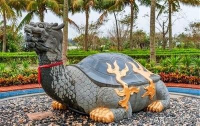 千年王八万年龟(世界十大最漂亮的乌龟)