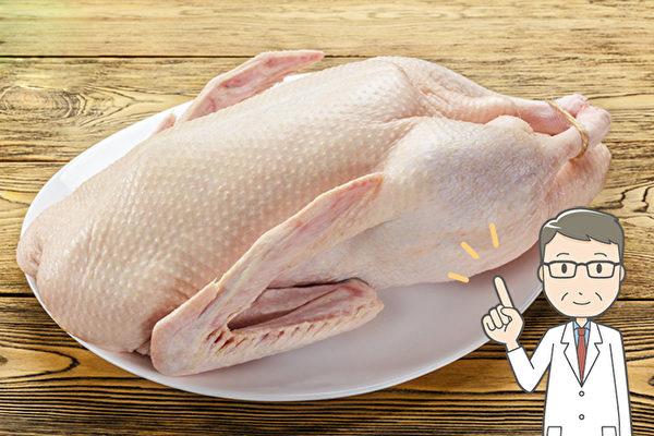 鹅血怎么做好吃，鹅肉怎么炖好吃（鹅有良好的药用功效）