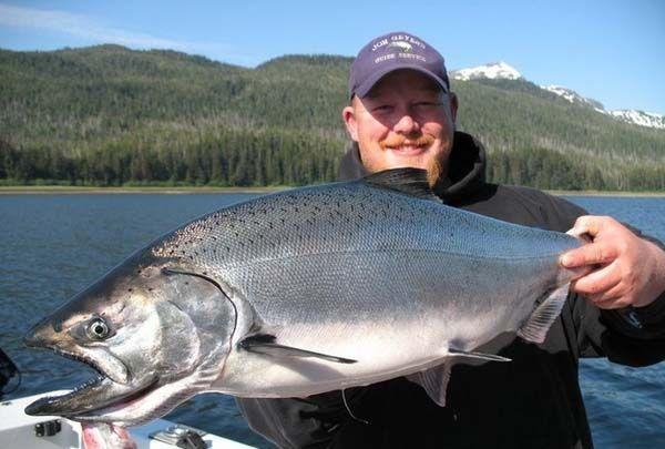 鲑鱼是三文鱼吗，红点鲑鱼是三文鱼吗（鲑鱼是一家亲吗）