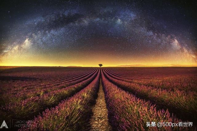 普罗旺斯在哪里，蓝田普罗旺斯在哪里（一个美得醉人又芳香扑鼻的地方）