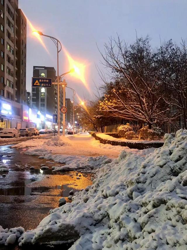 城市下雪图片大全图片