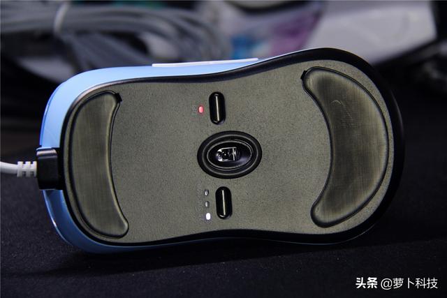 divina跳蚤防治，吡虫啉灭跳蚤（职业FPS选手标配）