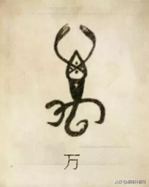 一个草字头一个吕，草字头加吕什么字（中国100大姓氏起源、图腾）