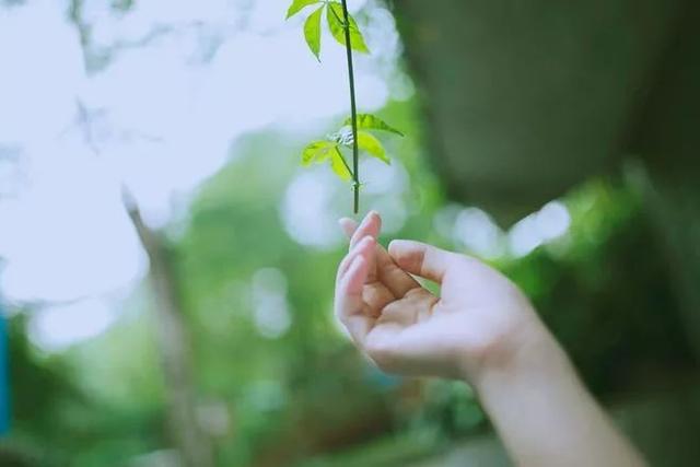 你的善良喂不饱得寸进尺的人，你的善良喂不饱得寸进尺的人句子（狗喂不饱，人讨不好）