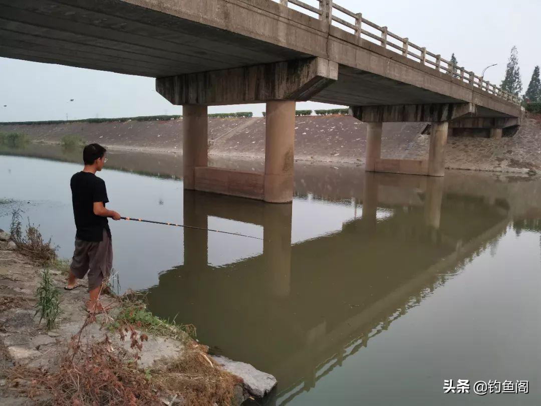 五款看似实用却难上鱼的渔具盘点：钓鱼新手慎选，避免踩雷浪费时间和金钱