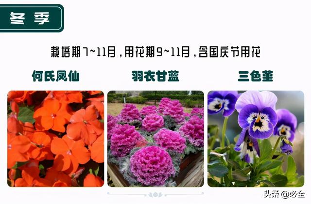 蓬径和冠幅有什么区别，冠径和冠幅是什么意思（这份图文并茂的强烈建议收藏）