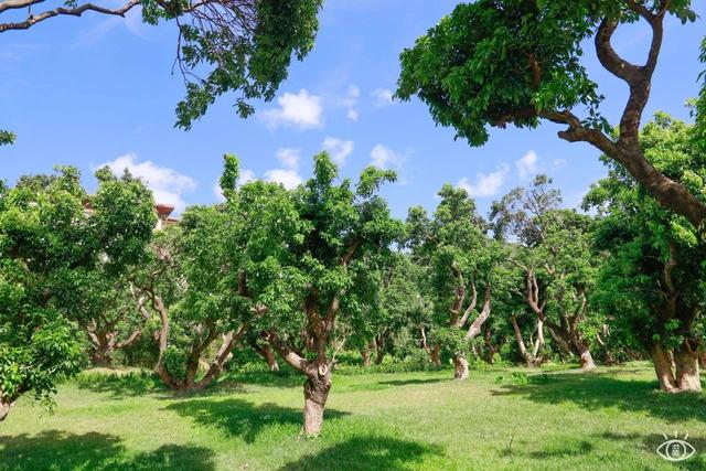 深圳十大免费景点，深圳十大必玩免费景点排名