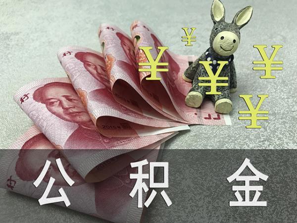 补充公积金是什么，补充公积金是什么意思（基本公积金和补充公积金有什么区别）