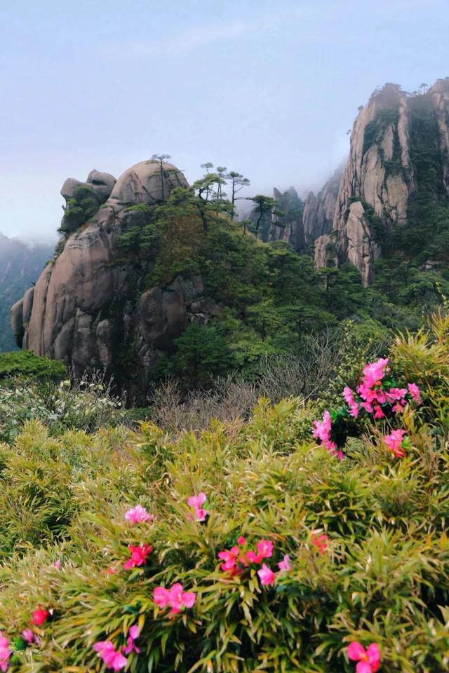 江西三清山风景区，三清山是几A级风景区（小雨初歇的江西三清山）