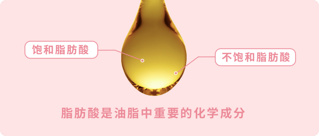 苏子籽怎么吃对肝脏好，苏子怎么吃才能养肝（舌尖上的食用油）